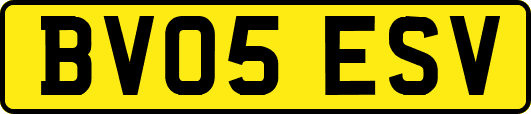 BV05ESV