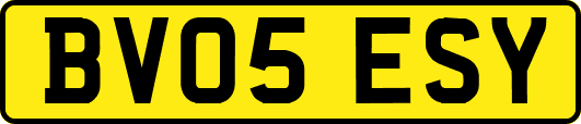 BV05ESY