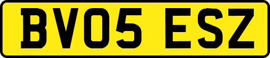 BV05ESZ