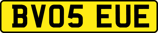 BV05EUE