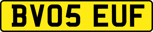 BV05EUF