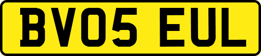 BV05EUL