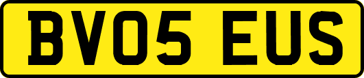 BV05EUS