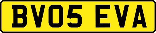BV05EVA