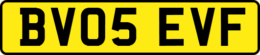 BV05EVF