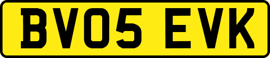 BV05EVK