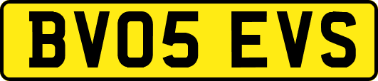 BV05EVS