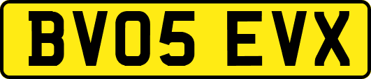 BV05EVX