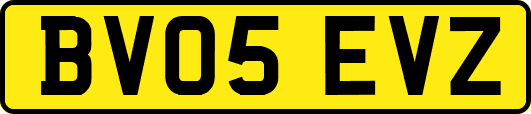 BV05EVZ