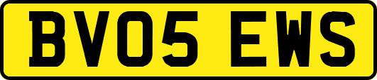 BV05EWS