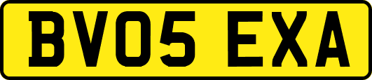 BV05EXA