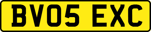 BV05EXC