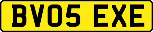 BV05EXE