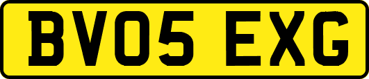 BV05EXG