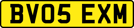 BV05EXM