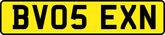 BV05EXN