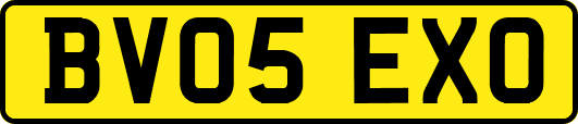 BV05EXO