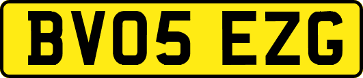 BV05EZG