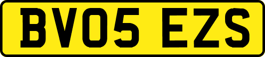 BV05EZS