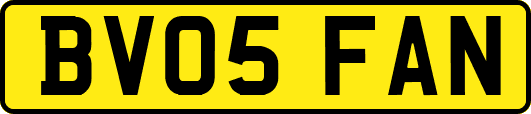BV05FAN