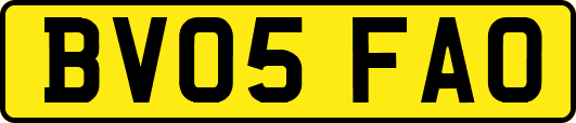 BV05FAO