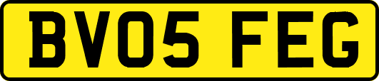 BV05FEG