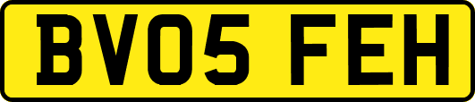 BV05FEH