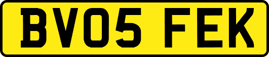 BV05FEK