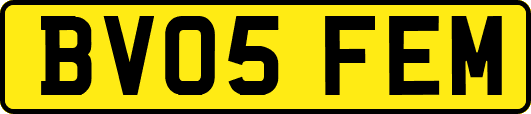BV05FEM