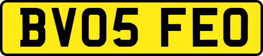 BV05FEO