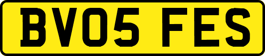 BV05FES