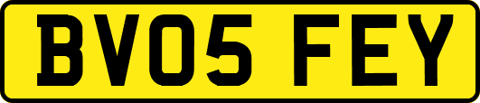 BV05FEY