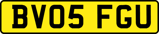 BV05FGU