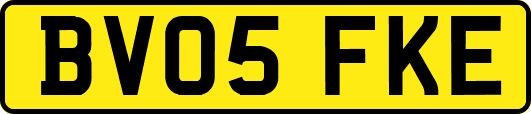BV05FKE