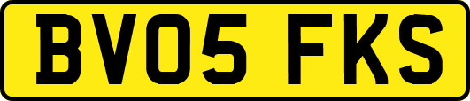BV05FKS