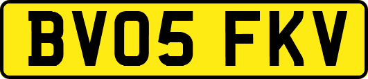 BV05FKV