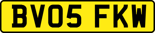 BV05FKW