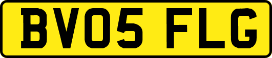 BV05FLG