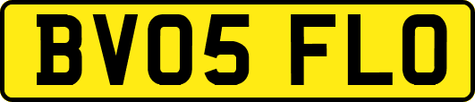 BV05FLO