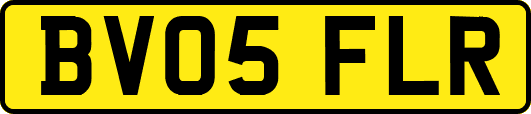 BV05FLR