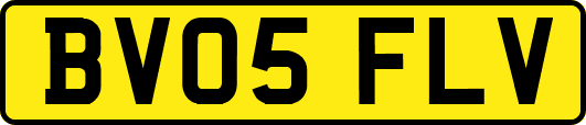 BV05FLV