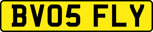 BV05FLY