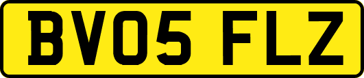 BV05FLZ