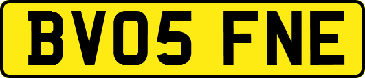 BV05FNE