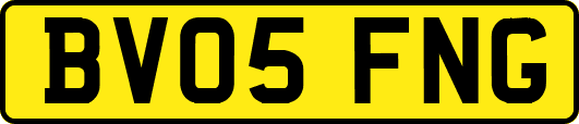 BV05FNG