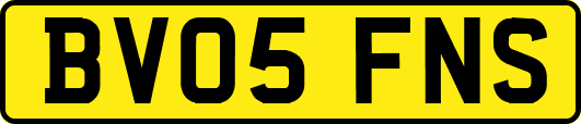 BV05FNS
