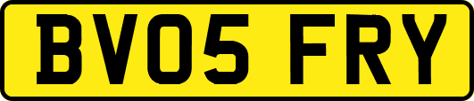 BV05FRY
