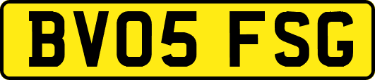 BV05FSG