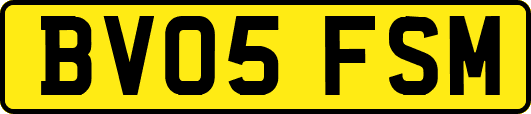 BV05FSM