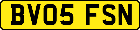 BV05FSN